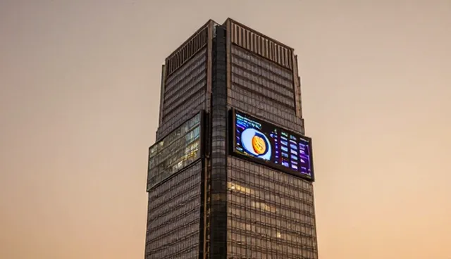电商运营团队如何有效利用数据监测与分析提升品牌运营